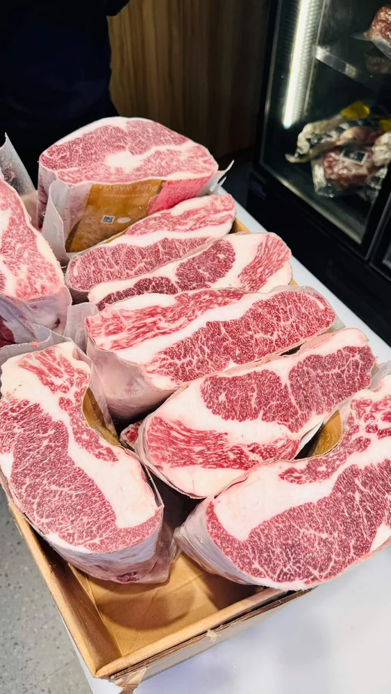 ブリスケット・ポイント · 取扱い資料の実物写真