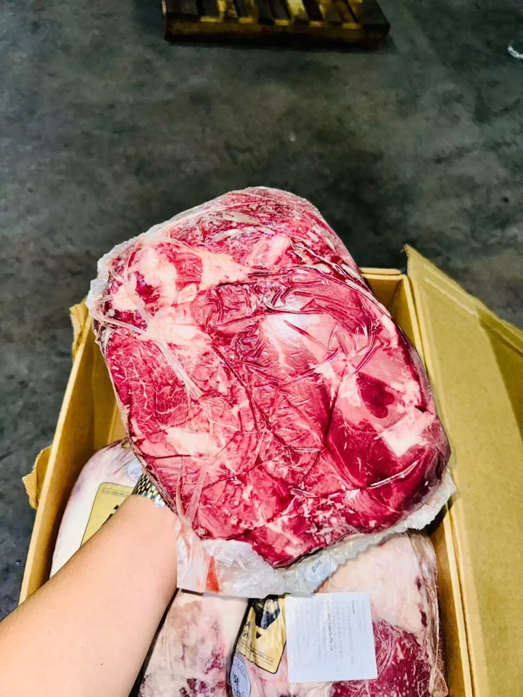シンタマ · 取扱い資料の実物写真